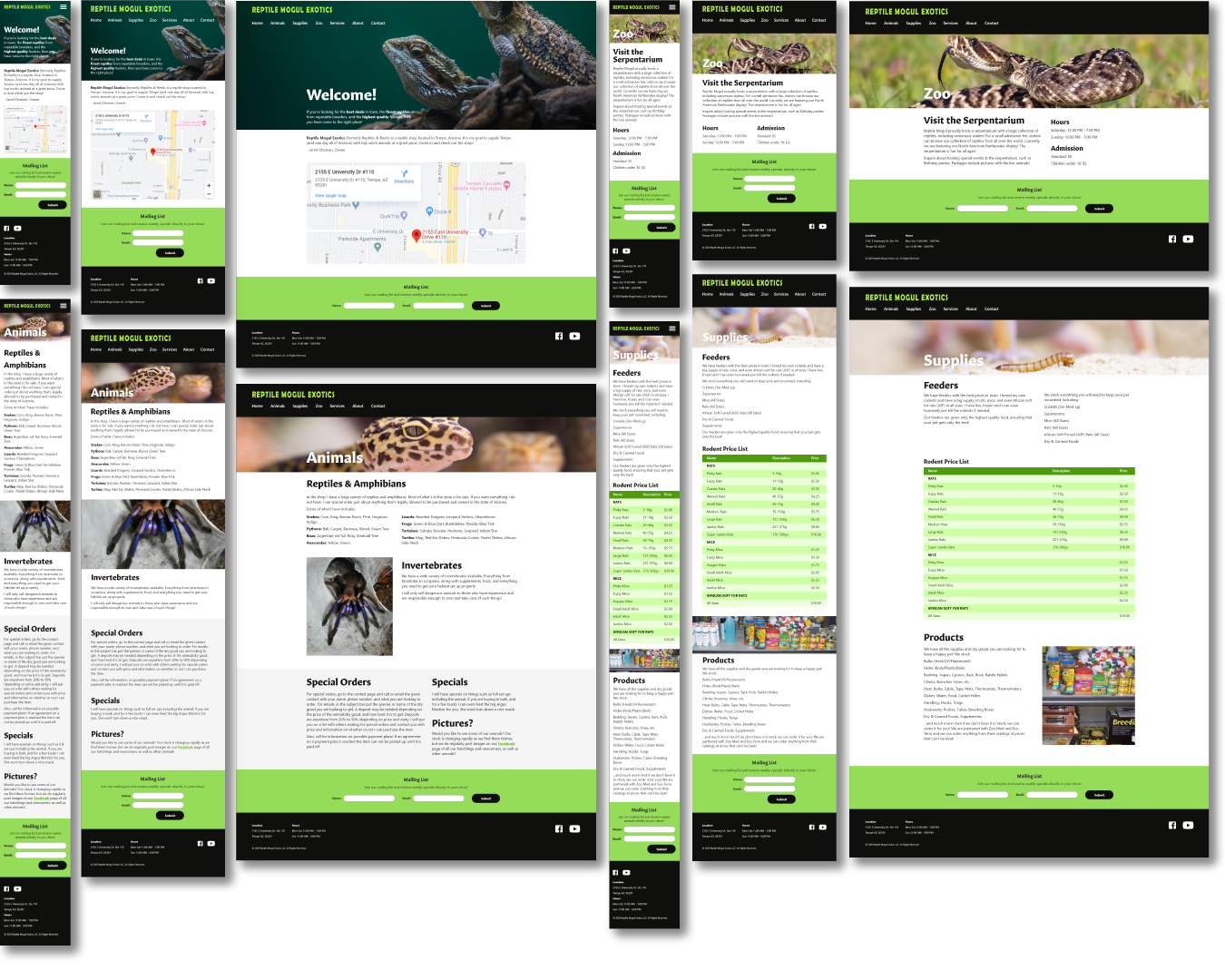 High-fidelity mockups of the mobile, tablet, and desktop versions of the home page, trailer page, and newsletter sign-up form.