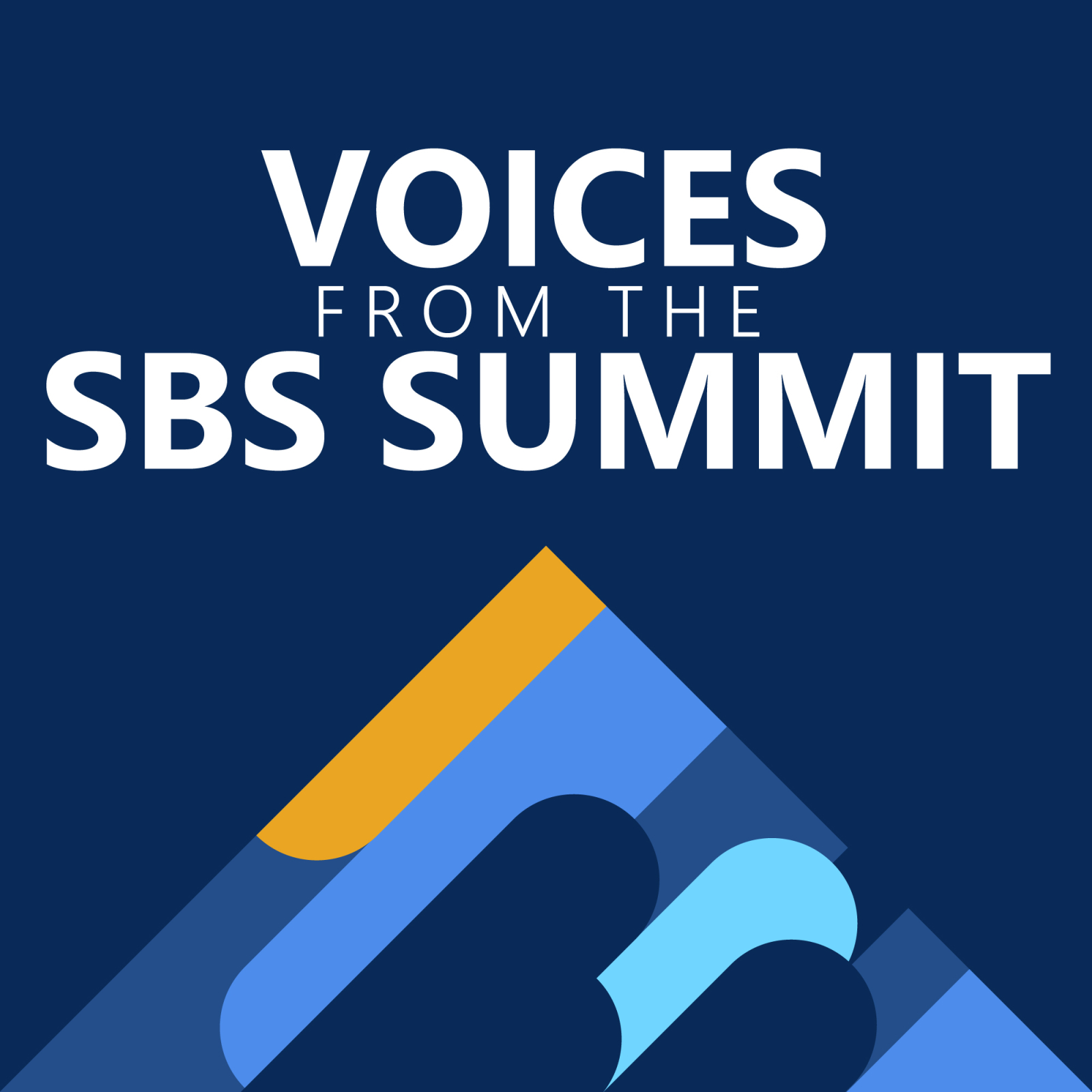 The final cover design, a mountain made up of oblong shapes and a yellow summit with the words Voices from the SBS Summit above the mountain.