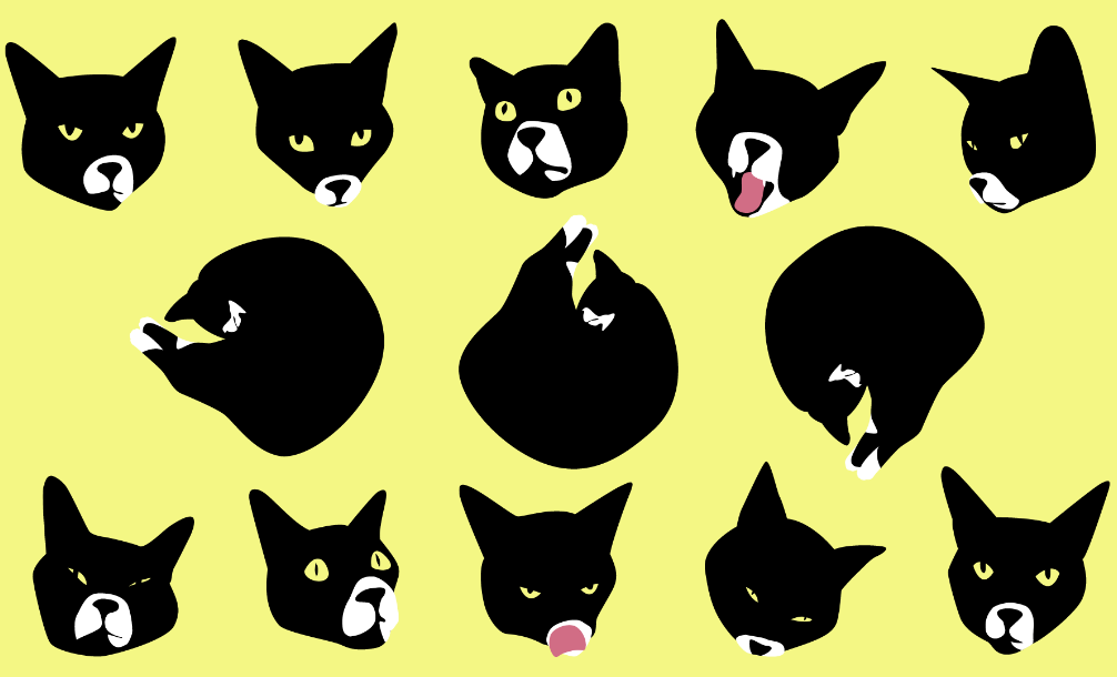 Vector illustrations of a black and white cat making different expressions.